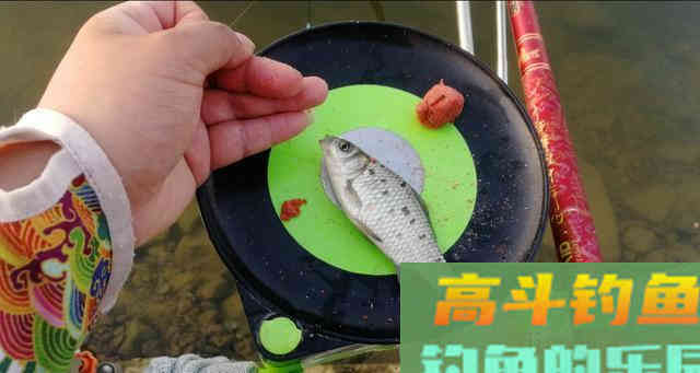 都说春季好钓鱼，可每次都是差强人意