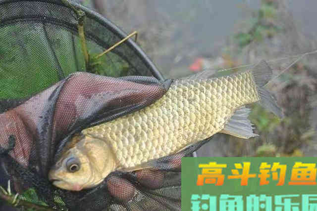 好心提醒，春钓千万别犯这三个错误