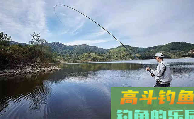 立冬后钓鱼如何不空军？老钓友总结的经验来了