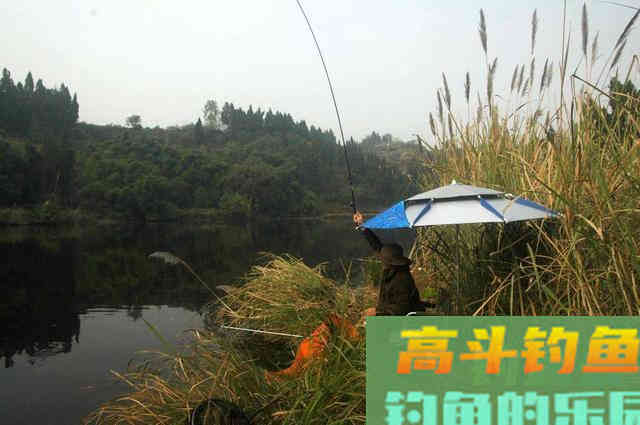 春季钓鱼两种温差详解，都可以钓到鱼，但选择截然不同