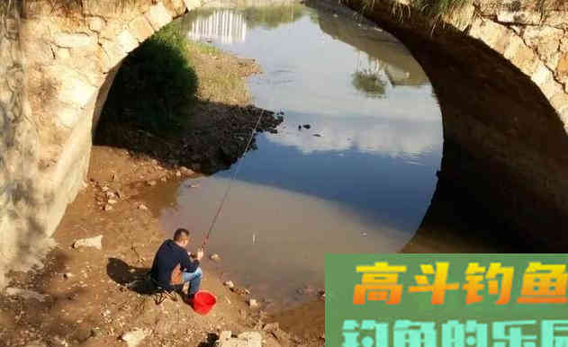 秋末冬初温度降低，应该钓浅水还是钓深水