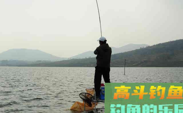 夏季钓鱼，要掌握这四个技巧
