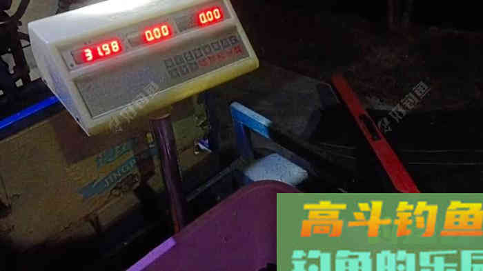 详谈冬季黑坑钓鲫鱼，成就坑冠之路