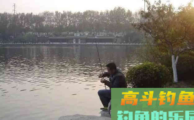 冬季野钓，窝里有鱼泡但就是不咬钩，因为这四点你没有做好