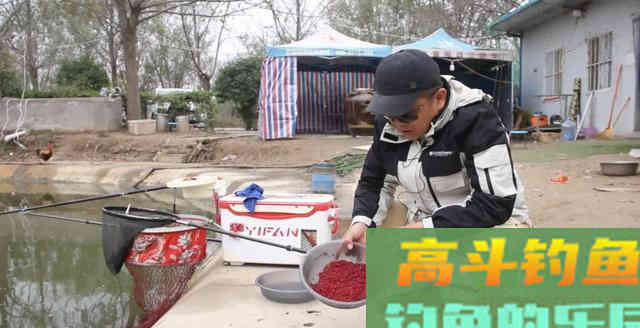 冬季钓快鱼若能爆护，鱼饵基本都是它
