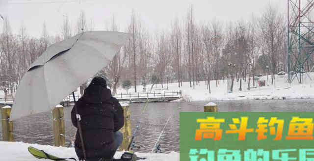 冬钓如何能更快地钓鱼？只需掌握这一个活字即可