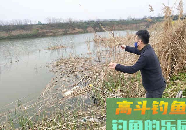 冬天钓鱼，荤饵、商品饵、素饵，哪个上鱼效果最好