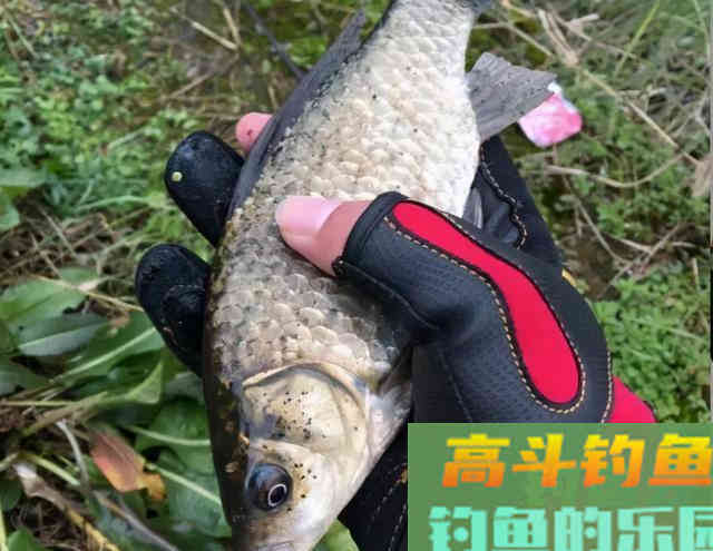 冬季钓鱼什么最重要