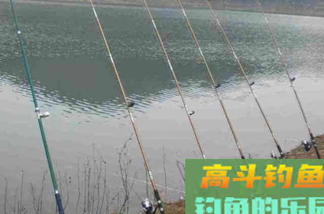 冬天的鱼难钓到怀疑人生？那是你没用这钓法