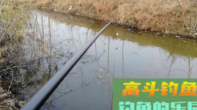 冬季传统钓的这四大优势，台钓真的比不了