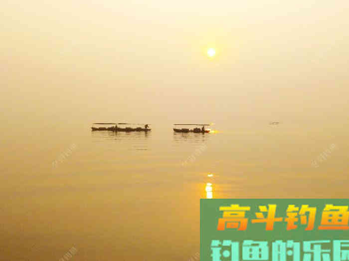 聊：冬钓的若干问题，来自高手的解答