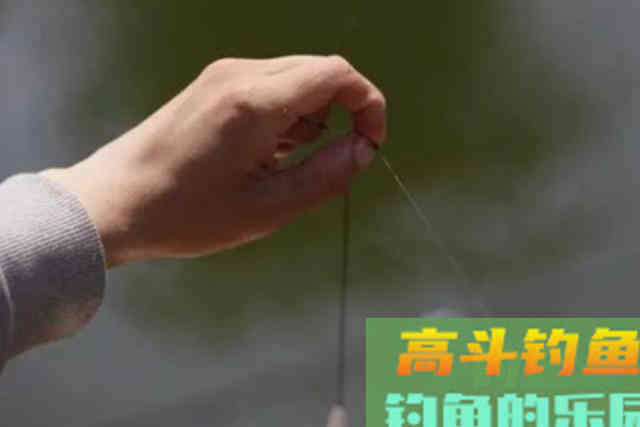 刚立春，我就换用这百试不爽的钓法