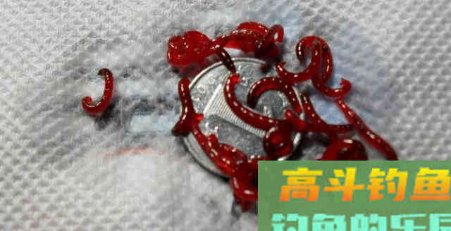 冬钓如何能更快地钓鱼？只需掌握这一个活字即可