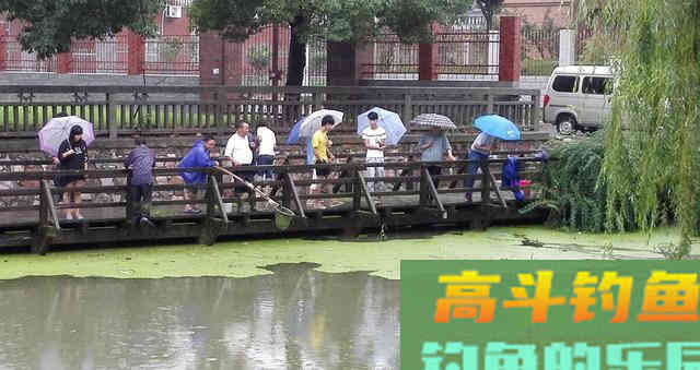 立冬后，台钓和传统钓哪个更香
