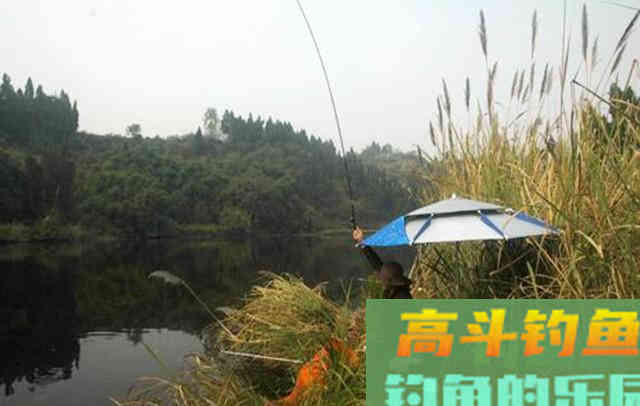 夏季野外钓鱼，遇到这4种情况，别白白浪费窝料