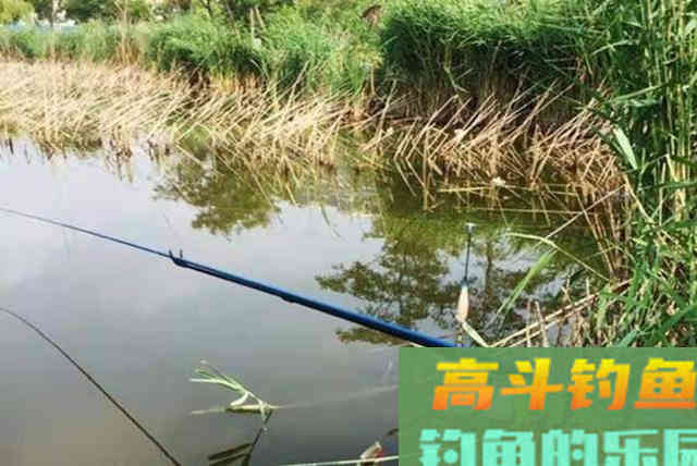 好心提醒，春钓千万别犯这三个错误