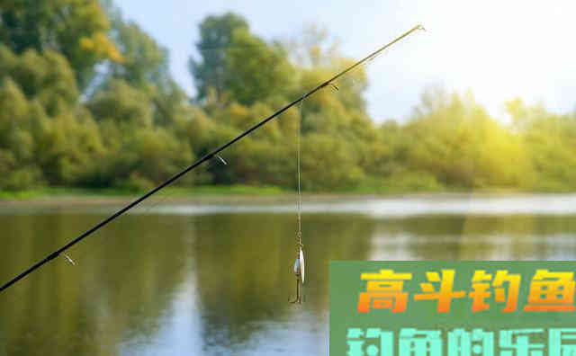 夏季低压天钓鱼，不想剃光头，熟记这4招