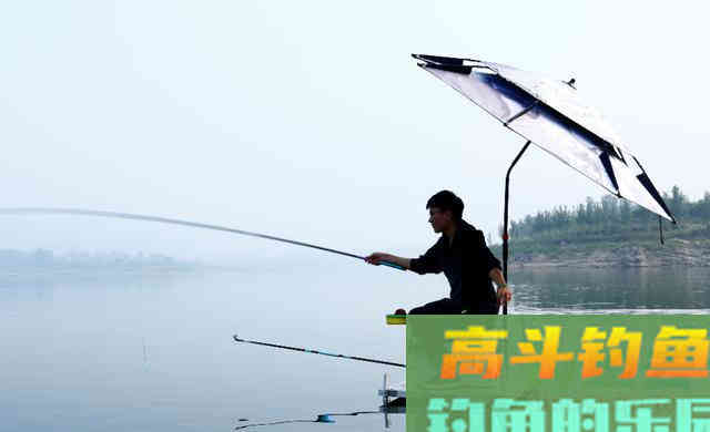 夏季钓鱼，要掌握这四个技巧
