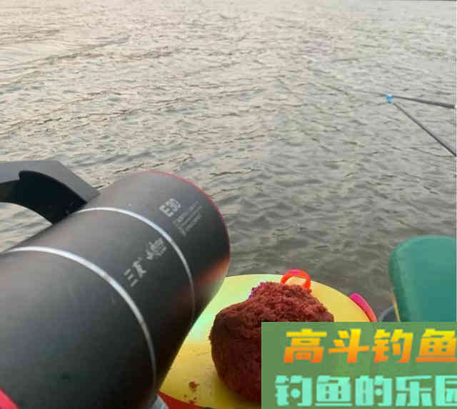 连日“空军”得出经验，这个3月鱼到底该怎么钓