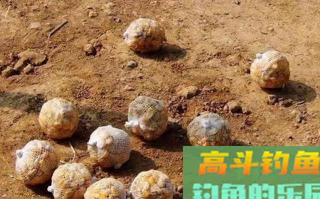 关于冬天野钓打窝，不发窝、没鱼口，多半是这两步没做到位