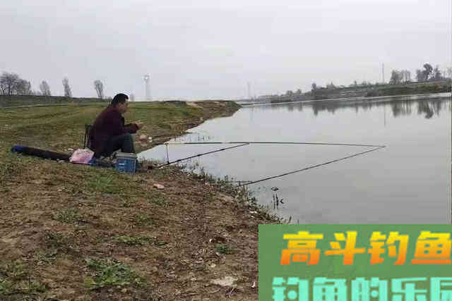 春钓时，这几个地方万万不可忽视，鲤鱼太多