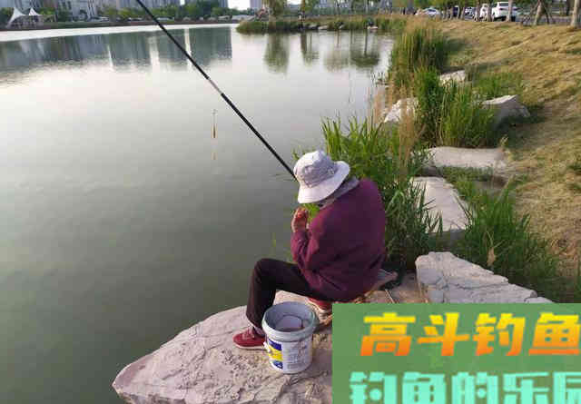 夏天鱼也怕热，别再傻坐一整天，野钓记住这五不钓