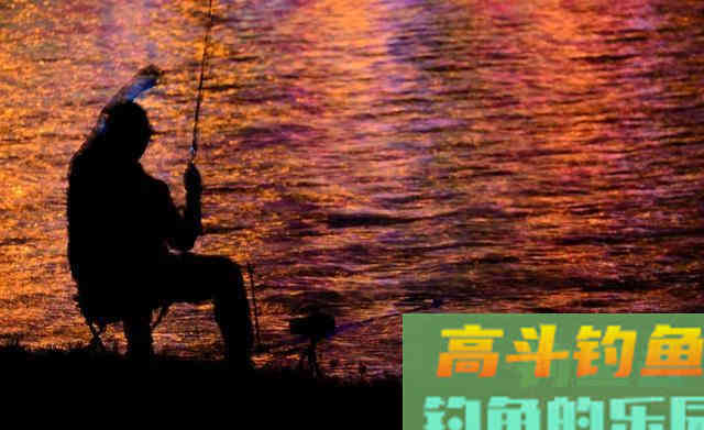 夏季夜钓鱼口虽好，不要忽视安全问题，安全是第一