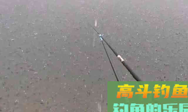 夏季涨水，暴雨后真的好钓鱼吗