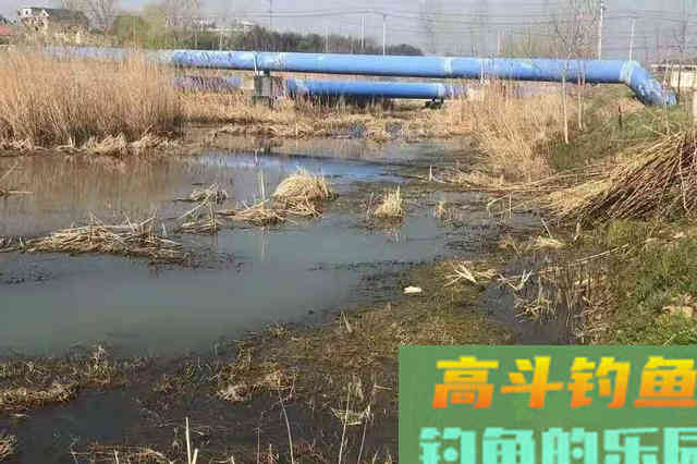 春天野钓你得这样找鱼窝