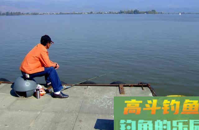 冬天，鲫鱼都喜欢在这个时间，到这些地方出没