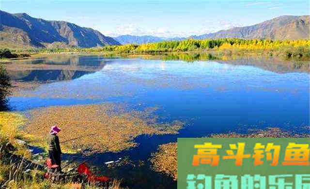 秋季钓鱼，天气不当鱼不开口，钓位不当没鱼咬钩