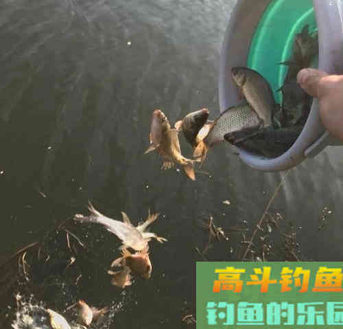 如何运用好春钓滩这句话