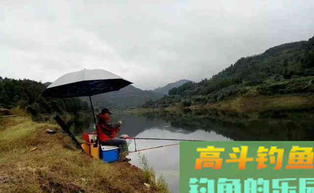 深秋钓鱼，别在这4种钓位下竿