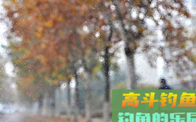 若不改变冬季垂钓的关键因素，真的是白白受冻