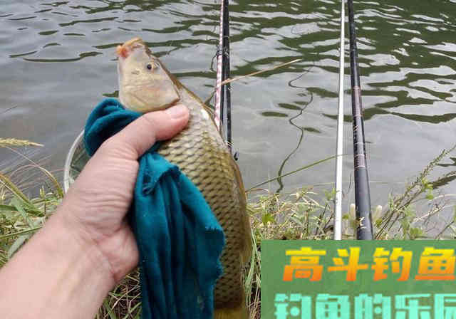 春季钓鱼，熟记3钓3不钓，钓好鱼很轻松