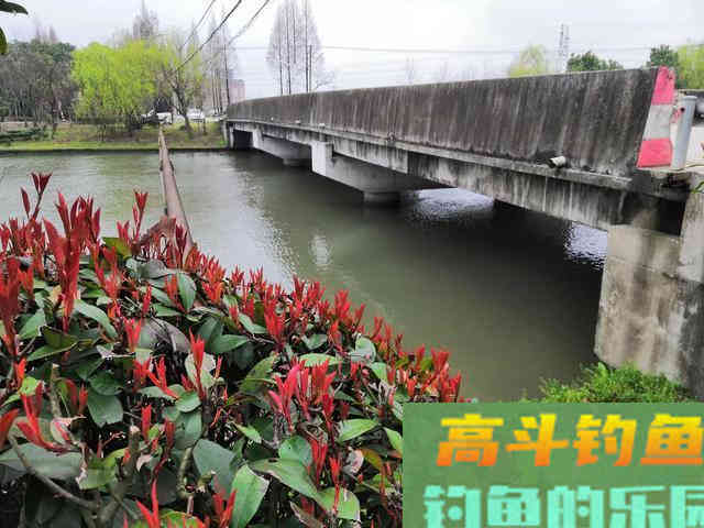 春天钓鱼，忽视这3点，窝子打了也白搭