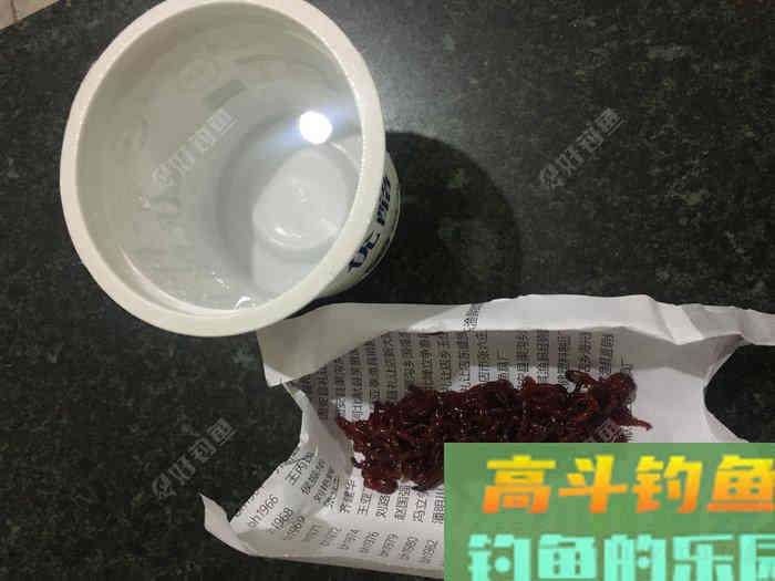 年假隔天钓，鱼获节节高--疫期冬钓总结超长篇