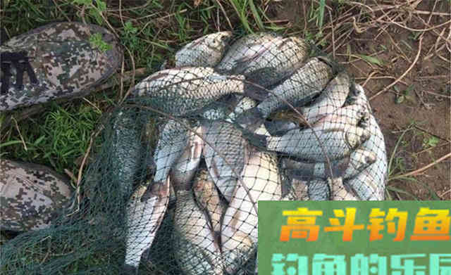 春季钓浅滩，秋季钓边边，秋季钓边从何时开始