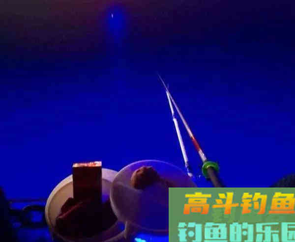 夏季夜钓，提防的不止是蛇与红火蚁