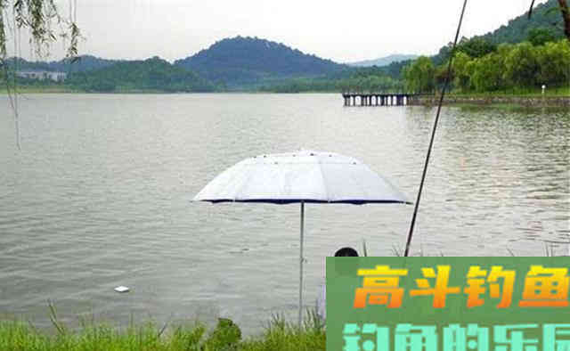 这几种天气大鱼吃钩猛，鱼护千万别带小了