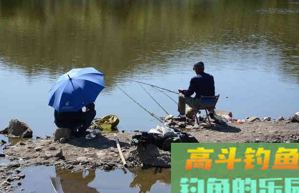 春分过后，3大原则，同样是钓好鱼的关键