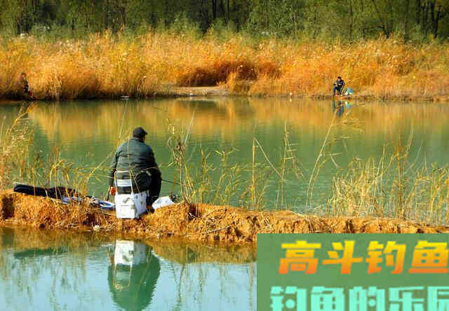 冬钓用多长的竿最合适，想要钓到大个体的鱼都有哪些技巧