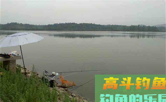 仲秋大水面钓大鱼，这4个原则值得遵循
