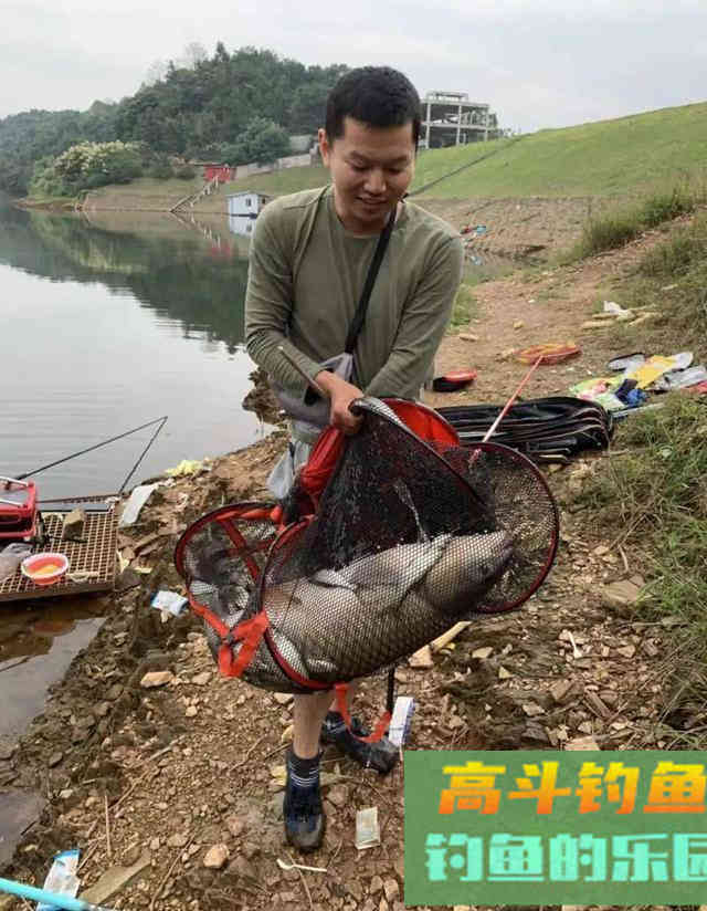 深冬钓鲤鱼全攻略，基本都是大的，再冷都可以钓