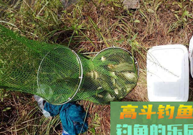 春季钓鱼，熟记3钓3不钓，钓好鱼很轻松