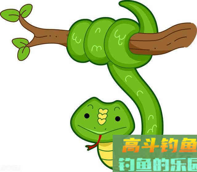 夏季晚上钓鱼，多次尿裤子，都是因为它
