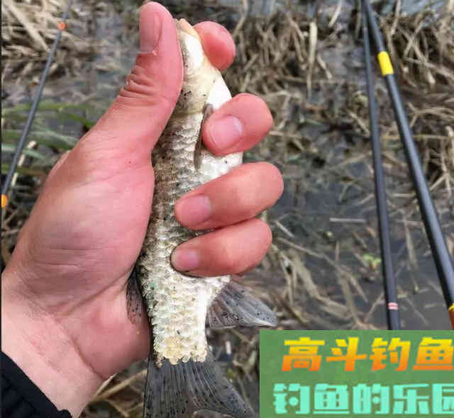 大冬天钓鱼还要起早吗？可能你不信，有些人起的比夏天更早
