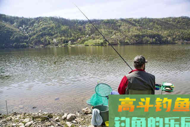 深秋一定要钓深？谣言！这3种情况钓深，鱼都会笑话你