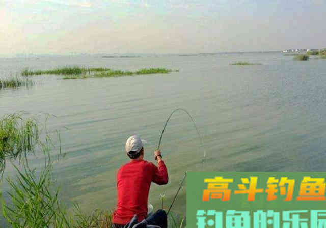 中秋过后，野河中钓鱼，牢记这4条心得