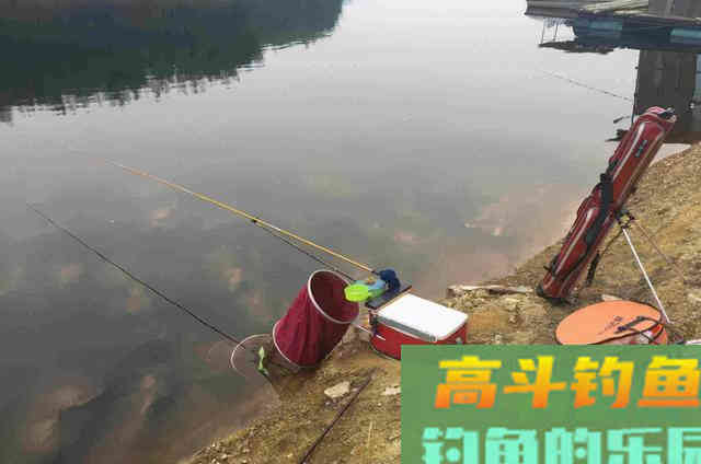 冬季找到这3个藏鱼宝地，大鱼都在这里